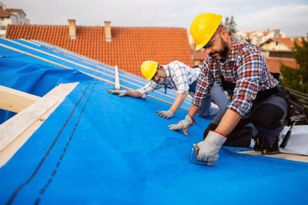 Professional Roofing Contractor in Zeeland, MI