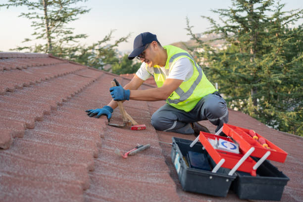 Tile Roofing Contractor in Zeeland, MI