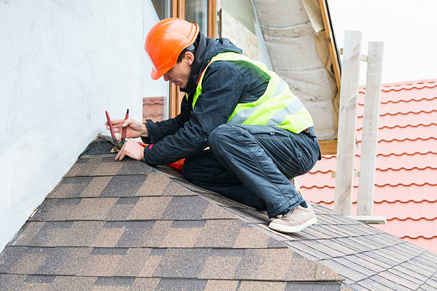 Best Roof Leak Repair  in Zeeland, MI