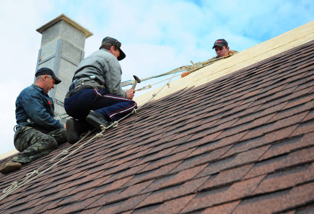Quick and Trustworthy Emergency Roof Repair Services in Zeeland, MI