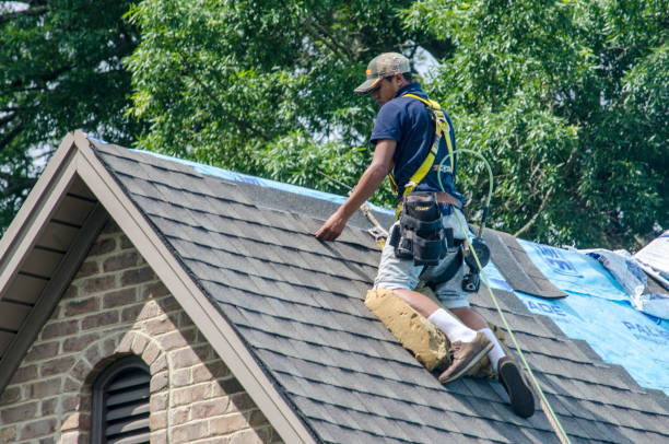 Best Storm Damage Roof Repair  in Zeeland, MI